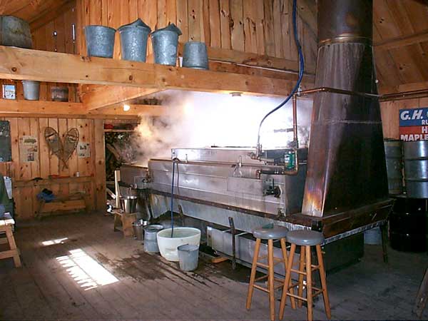 Boiling Sap in the Sugar House